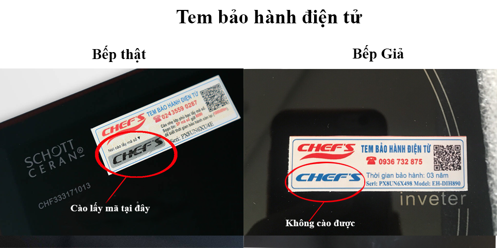 cach-phan-biet-bep-dien-tu-that-va-gia