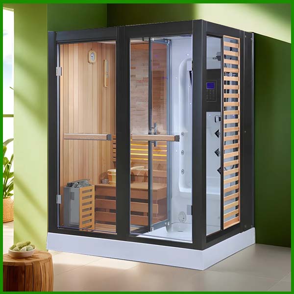 Phòng xông hơi khô kết hợp ướt Rudylux RD-8879