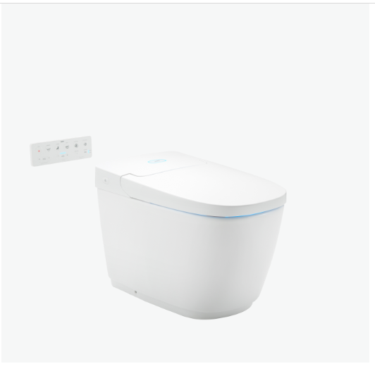 Bàn cầu nắp rửa điện tử Inax AC-819VN