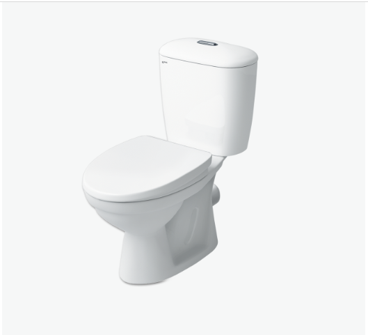 Bồn cầu Inax 2 khối C-306VPTN