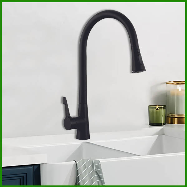 Vòi rửa Tomate TOM6046-1BL