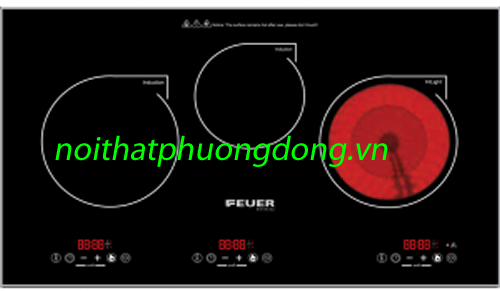bếp điện từ feuer fe-d30