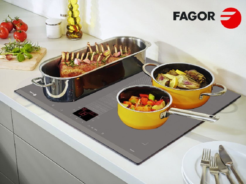 hình ảnh minh họa bếp từ Fagor