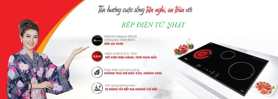 bếp điện từ nhật bản
