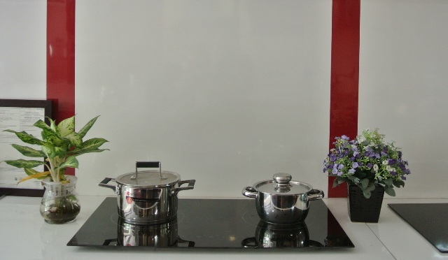Bếp từ Taka chính hãng giá rẻ