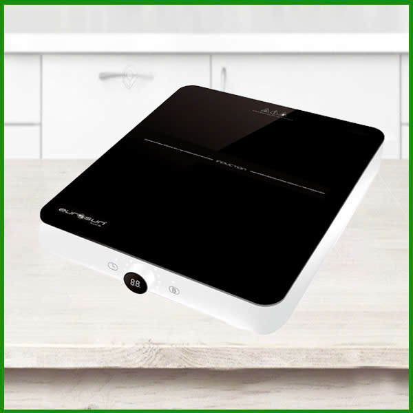 Bếp từ đơn Eurosun EU-T197
