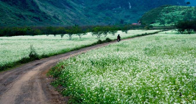 Hình ảnh miền núi tại Tây Bắc