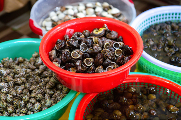 Sơ chế ốc