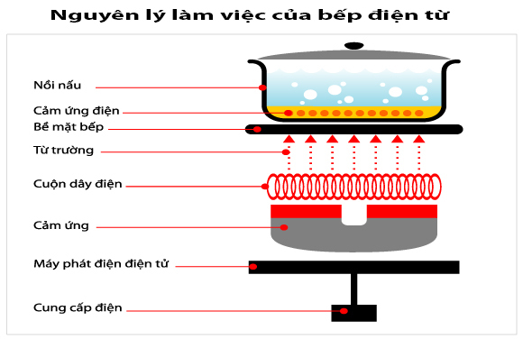 nguyên lý hoạt động của bếp từ 