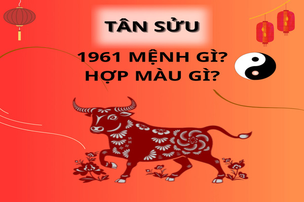 Màu sắc hợp mệnh và tương sinh sẽ giúp gia chủ sinh năm 1961 thu hút tài lộc, đón may mắn vào nhà