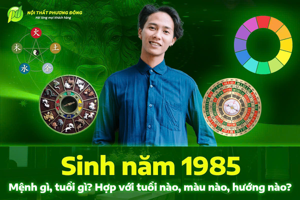 Sinh năm 1985 mệnh gì, tuổi gì? Hợp với tuổi nào, màu nào, hướng nào?