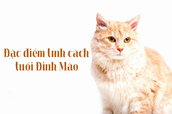 Những người tuổi Đinh Mão có tính cách nhanh nhẹn, thông minh