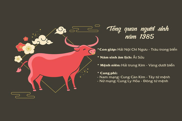  Tổng quan về tuổi Ất Sửu 1985