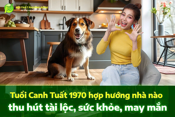 Tuổi Canh Tuất 1970 hợp hướng nhà nào thu hút tài lộc, sức khỏe, may mắn