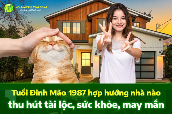 Tuổi Đinh Mão 1987 hợp hướng nhà nào thu hút tài lộc, sức khỏe, may mắn