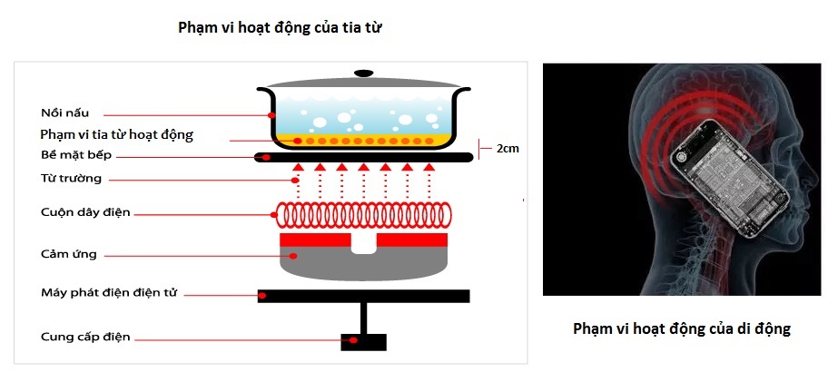 tia-tu-khong-anh-huong-den-suc-khoe-nguoi-dung